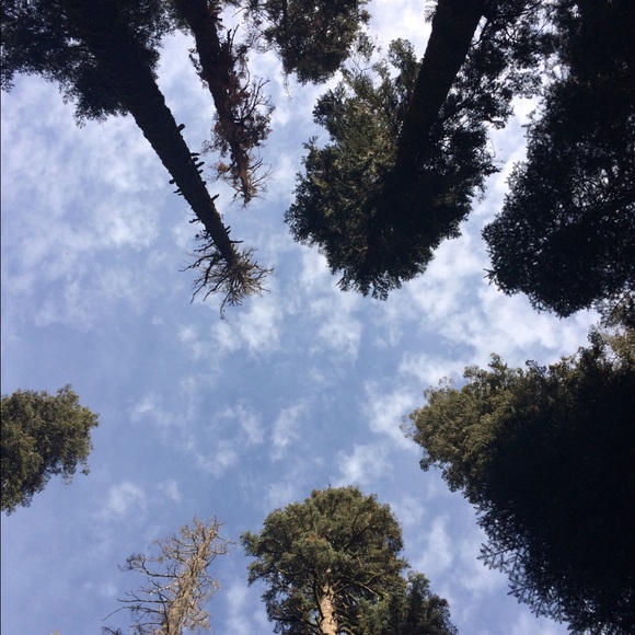 Meet your Posher, Lydia - Picture 1 of 1